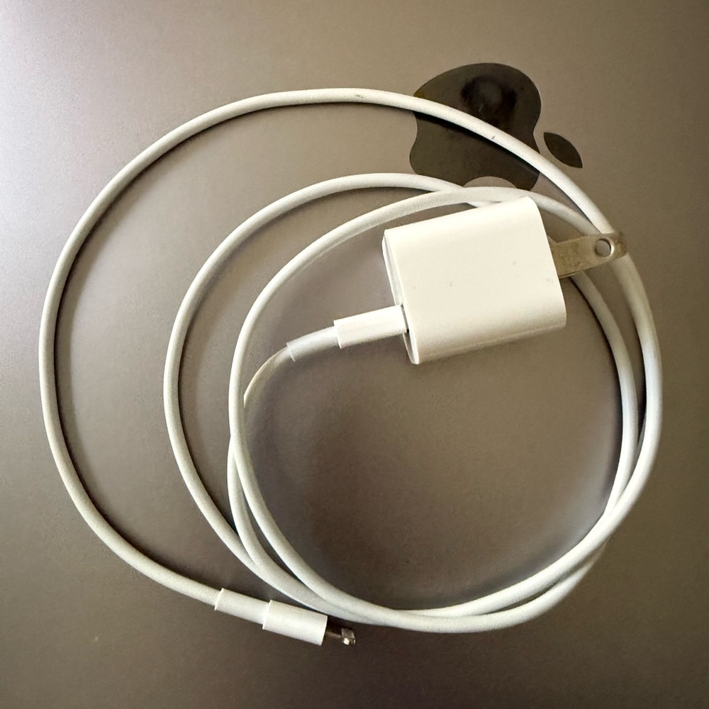 Apple iPhone charger